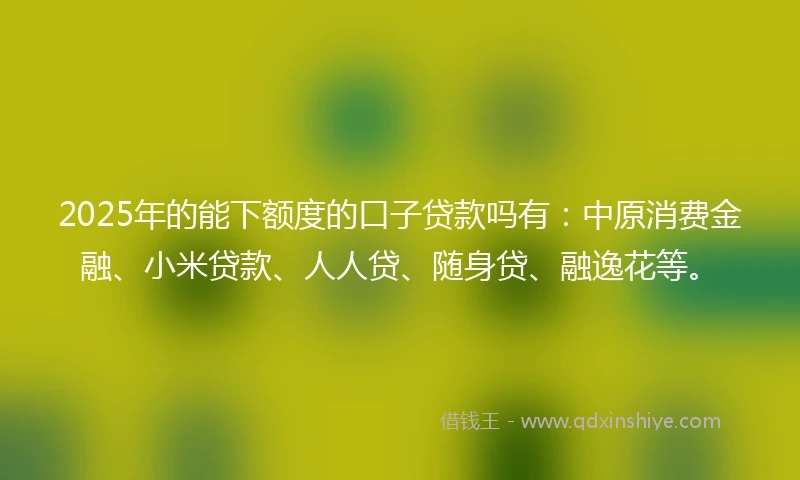 2025年的能下额度的口子贷款吗有：中原消费金融、小米贷款、人人贷、随身贷、融逸花等。