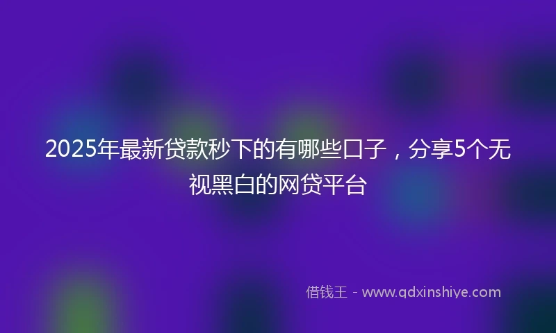 2025年最新贷款秒下的有哪些口子，分享5个无视黑白的网贷平台