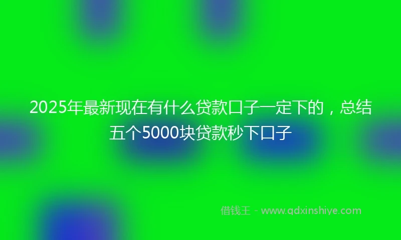 2025年最新现在有什么贷款口子一定下的，总结五个5000块贷款秒下口子