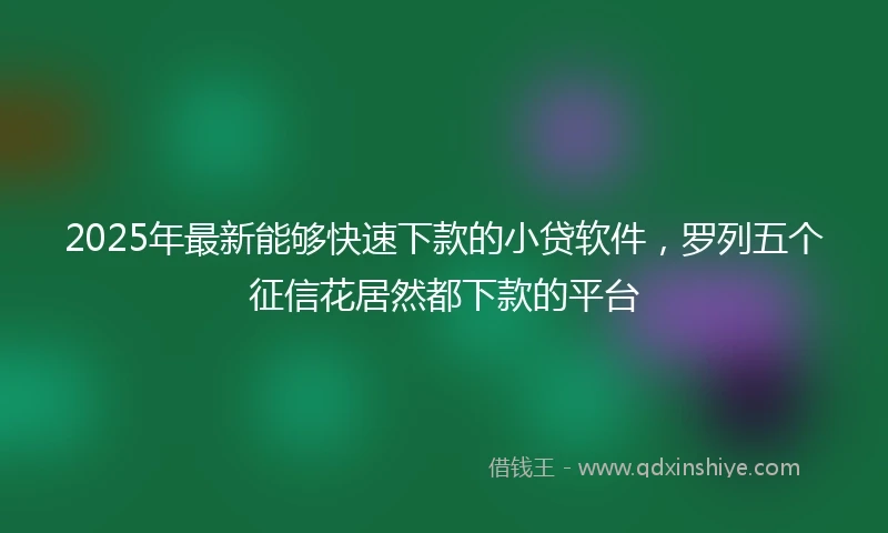 2025年最新能够快速下款的小贷软件，罗列五个征信花居然都下款的平台