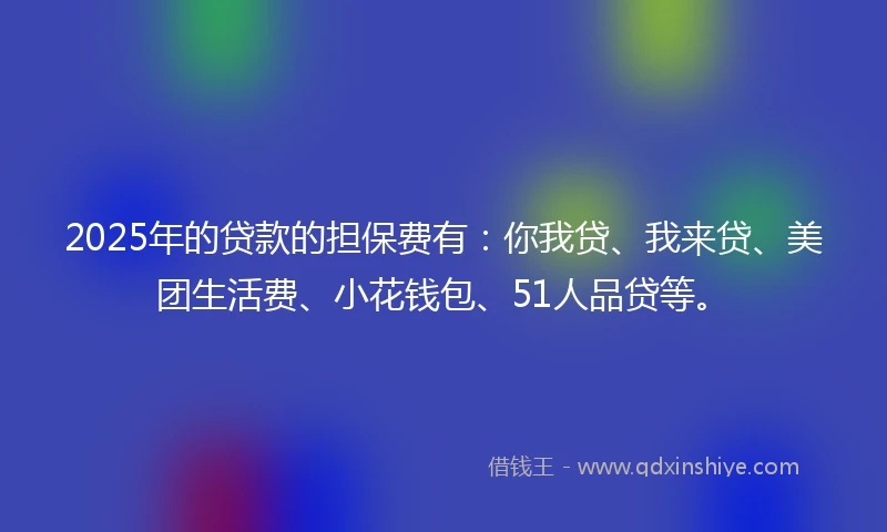 2025年的贷款的担保费有：你我贷、我来贷、美团生活费、小花钱包、51人品贷等。