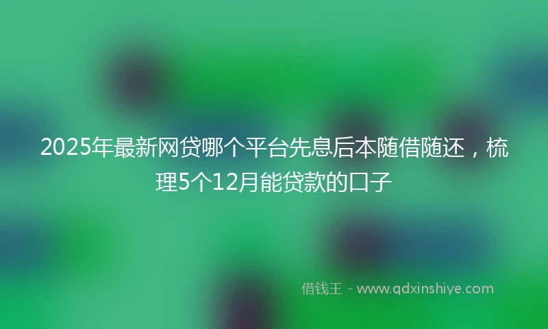 2025年最新网贷哪个平台先息后本随借随还，梳理5个12月能贷款的口子