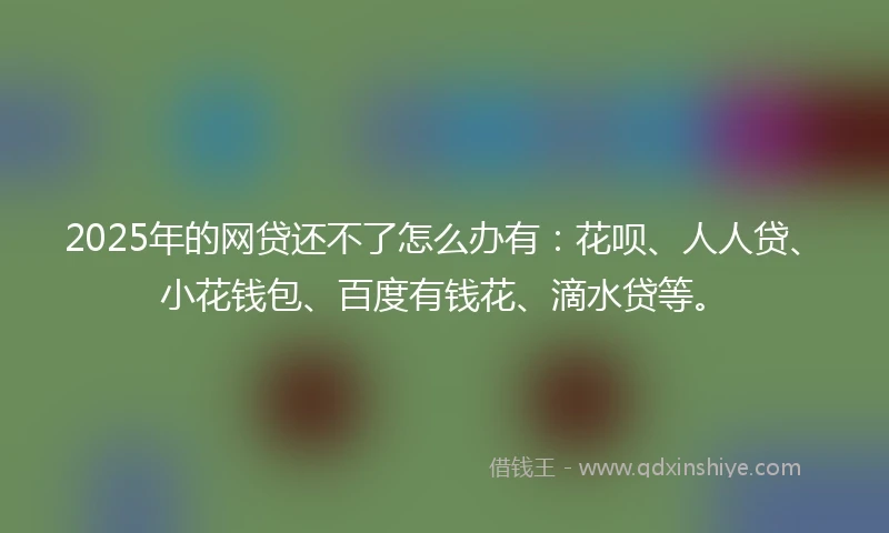 2025年的网贷还不了怎么办有：花呗、人人贷、小花钱包、百度有钱花、滴水贷等。