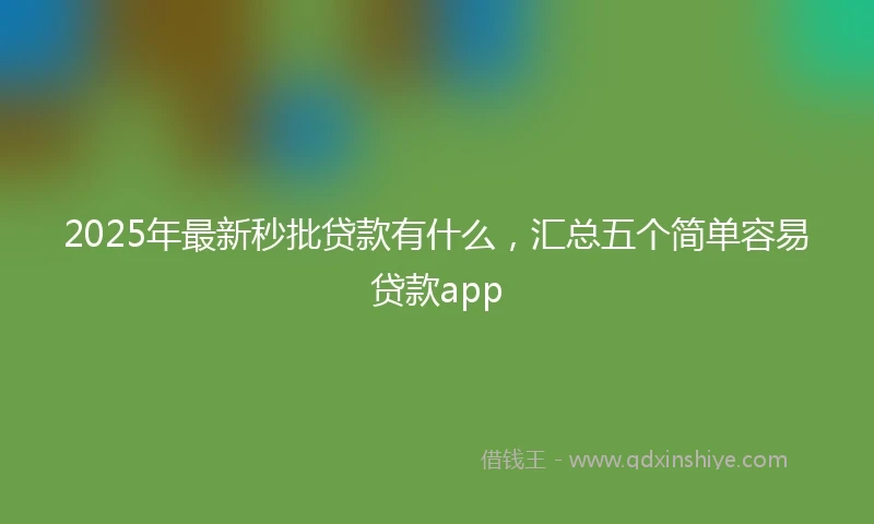 2025年最新秒批贷款有什么，汇总五个简单容易贷款app