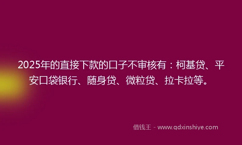 2025年的直接下款的口子不审核有：柯基贷、平安口袋银行、随身贷、微粒贷、拉卡拉等。