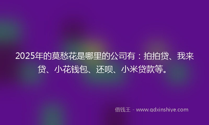 2025年的莫愁花是哪里的公司有：拍拍贷、我来贷、小花钱包、还呗、小米贷款等。
