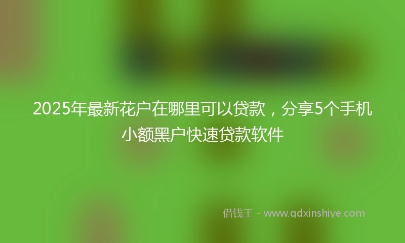 2025年最新花户在哪里可以贷款，分享5个手机小额黑户快速贷款软件