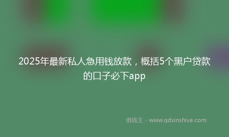 2025年最新私人急用钱放款，概括5个黑户贷款的口子必下app