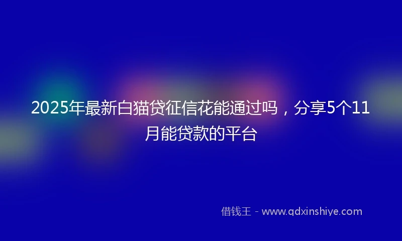 2025年最新白猫贷征信花能通过吗，分享5个11月能贷款的平台