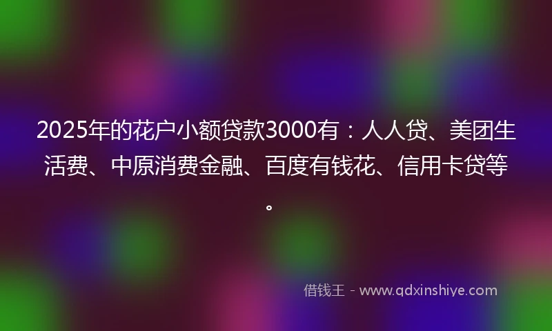2025年的花户小额贷款3000有：人人贷、美团生活费、中原消费金融、百度有钱花、信用卡贷等。