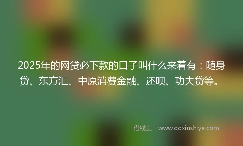 2025年的网贷必下款的口子叫什么来着有：随身贷、东方汇、中原消费金融、还呗、功夫贷等。