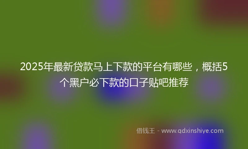 2025年最新贷款马上下款的平台有哪些，概括5个黑户必下款的口子贴吧推荐