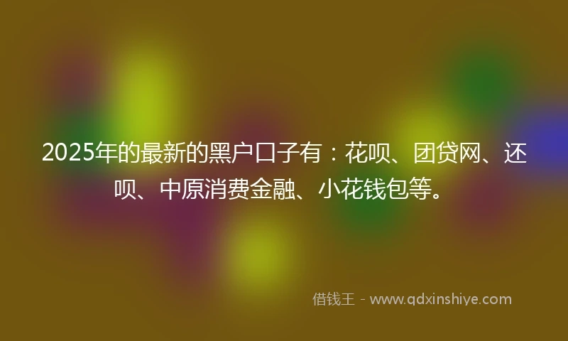 2025年的最新的黑户口子有：花呗、团贷网、还呗、中原消费金融、小花钱包等。