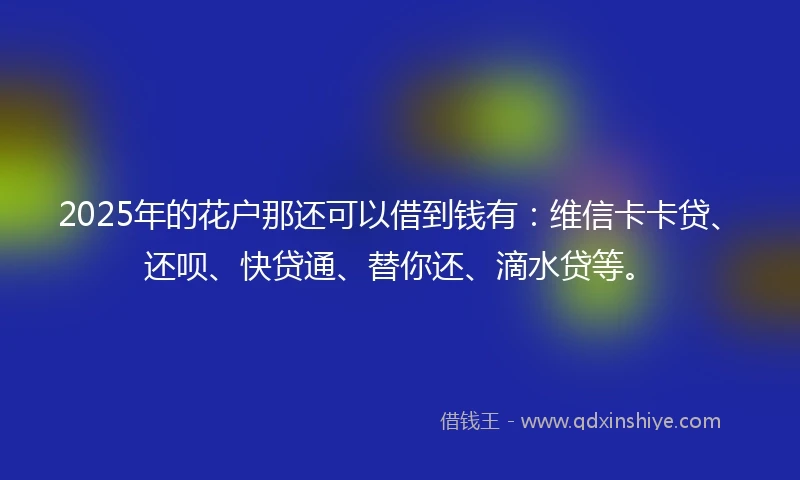 2025年的花户那还可以借到钱有：维信卡卡贷、还呗、快贷通、替你还、滴水贷等。