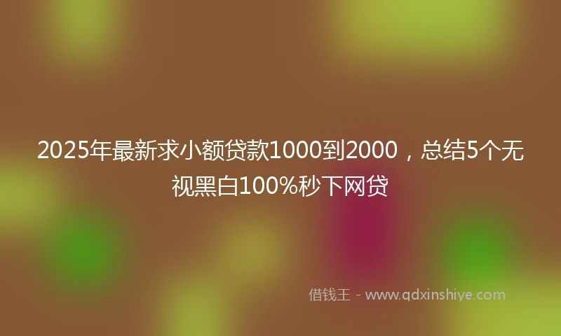 2025年最新求小额贷款1000到2000，总结5个无视黑白100%秒下网贷