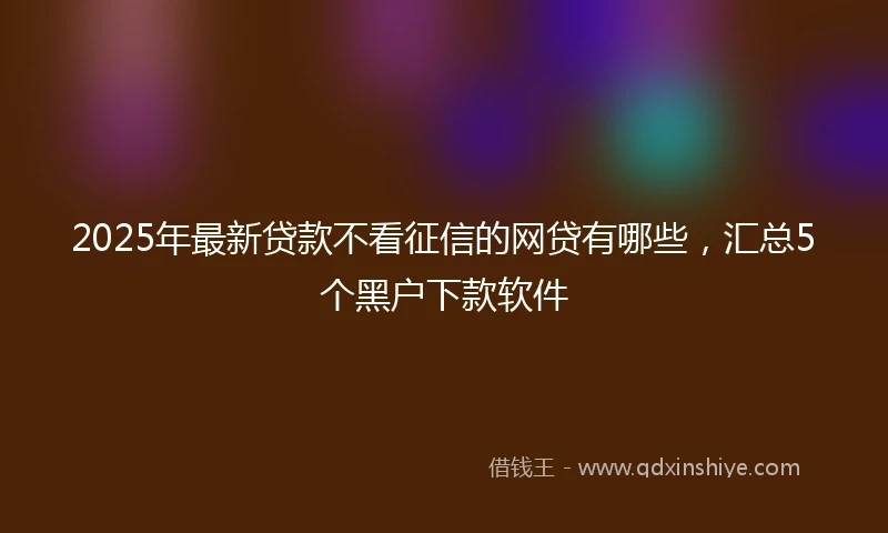 2025年最新贷款不看征信的网贷有哪些，汇总5个黑户下款软件