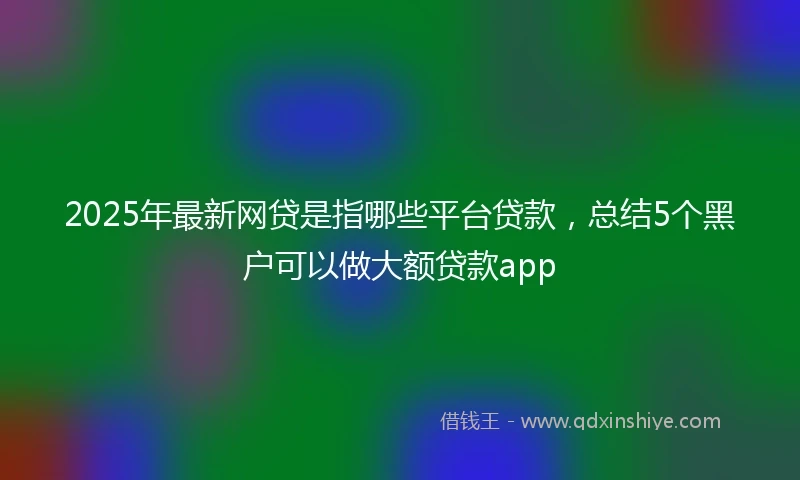 2025年最新网贷是指哪些平台贷款，总结5个黑户可以做大额贷款app