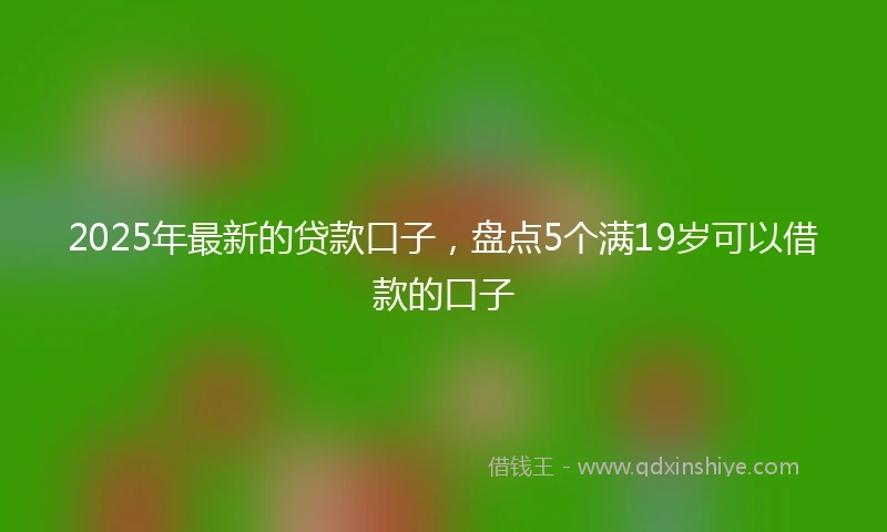 2025年最新的贷款口子，盘点5个满19岁可以借款的口子
