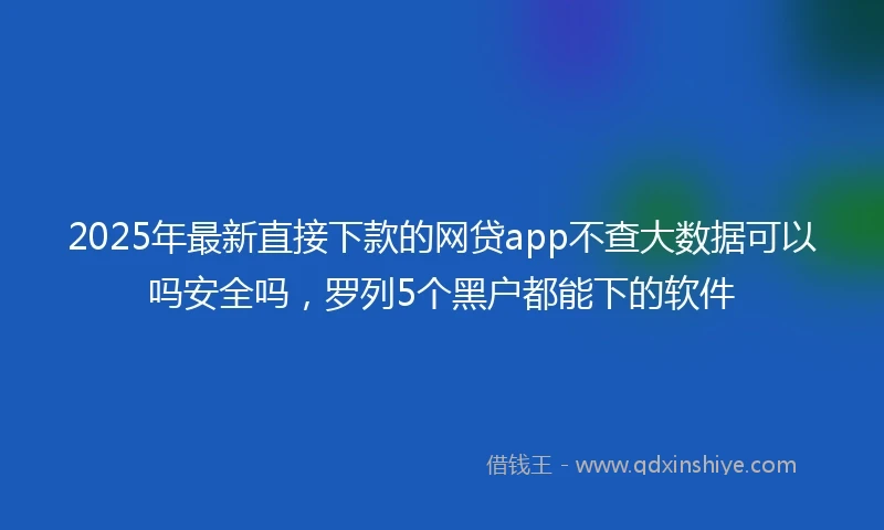 2025年最新直接下款的网贷app不查大数据可以吗安全吗，罗列5个黑户都能下的软件