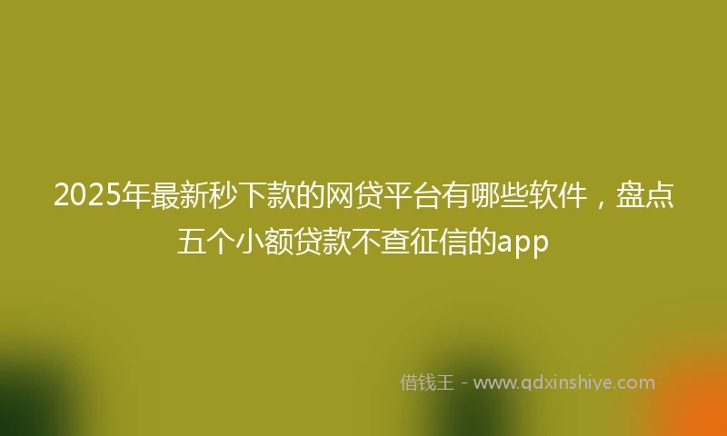 2025年最新秒下款的网贷平台有哪些软件，盘点五个小额贷款不查征信的app