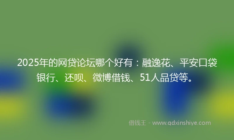 2025年的网贷论坛哪个好有：融逸花、平安口袋银行、还呗、微博借钱、51人品贷等。