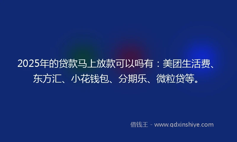 2025年的贷款马上放款可以吗有：美团生活费、东方汇、小花钱包、分期乐、微粒贷等。