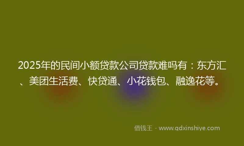 2025年的民间小额贷款公司贷款难吗有：东方汇、美团生活费、快贷通、小花钱包、融逸花等。