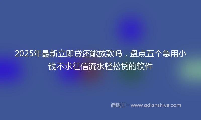 2025年最新立即贷还能放款吗，盘点五个急用小钱不求征信流水轻松贷的软件