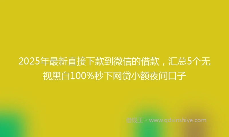 2025年最新直接下款到微信的借款，汇总5个无视黑白100%秒下网贷小额夜间口子