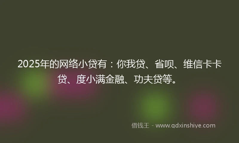 2025年的网络小贷有：你我贷、省呗、维信卡卡贷、度小满金融、功夫贷等。