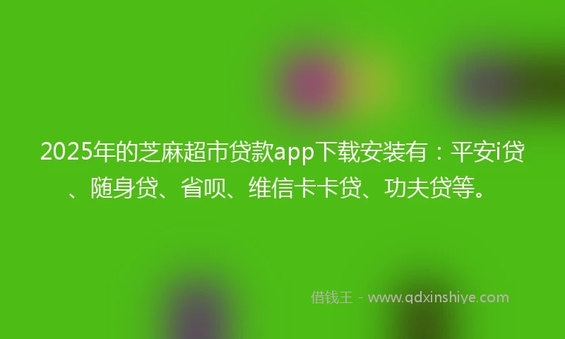 2025年的芝麻超市贷款app下载安装有：平安i贷、随身贷、省呗、维信卡卡贷、功夫贷等。