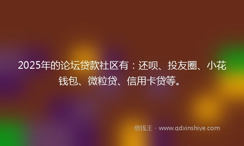 2025年的论坛贷款社区有：还呗、投友圈、小花钱包、微粒贷、信用卡贷等。