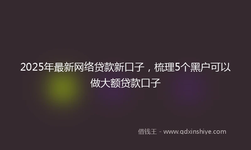 2025年最新网络贷款新口子，梳理5个黑户可以做大额贷款口子