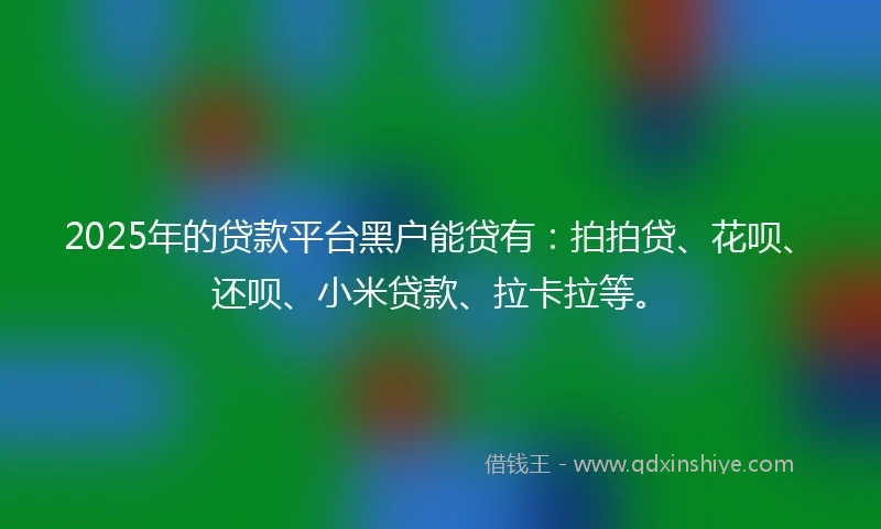 2025年的贷款平台黑户能贷有：拍拍贷、花呗、还呗、小米贷款、拉卡拉等。