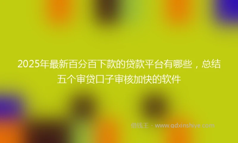 2025年最新百分百下款的贷款平台有哪些，总结五个审贷口子审核加快的软件