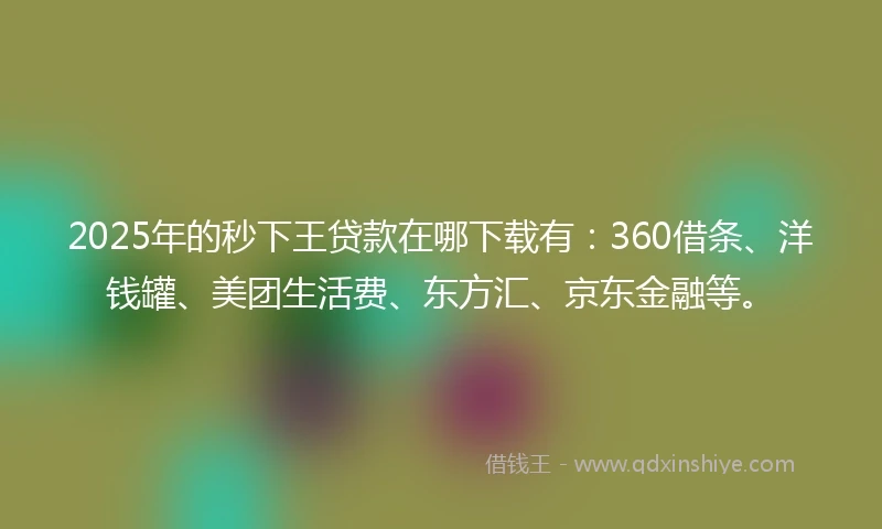 2025年的秒下王贷款在哪下载有：360借条、洋钱罐、美团生活费、东方汇、京东金融等。