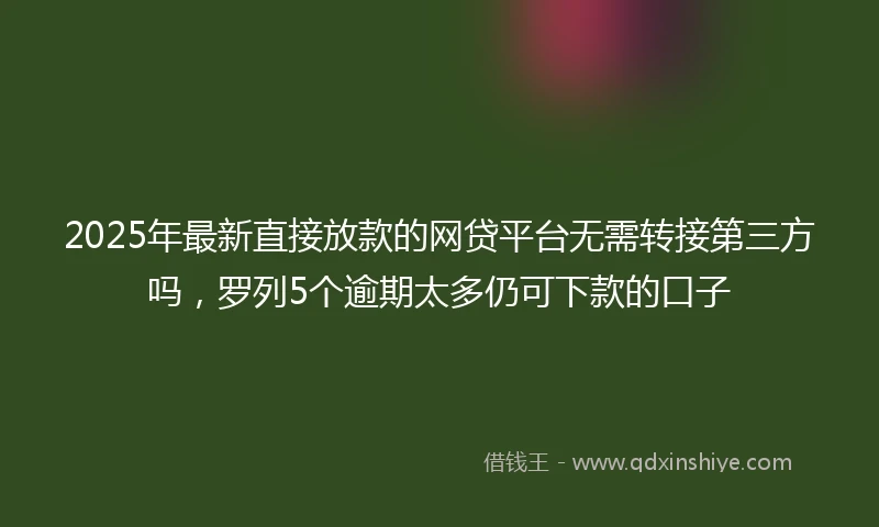 2025年最新直接放款的网贷平台无需转接第三方吗，罗列5个逾期太多仍可下款的口子