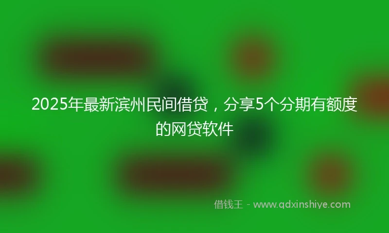 2025年最新滨州民间借贷，分享5个分期有额度的网贷软件