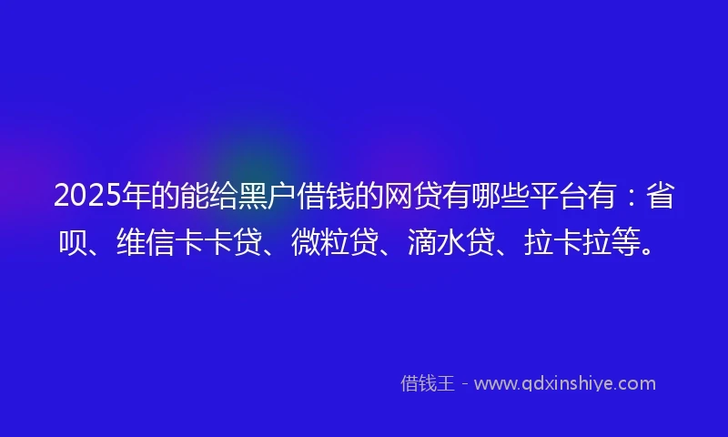 2025年的能给黑户借钱的网贷有哪些平台有：省呗、维信卡卡贷、微粒贷、滴水贷、拉卡拉等。
