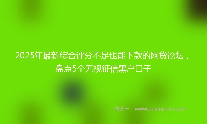 2025年最新综合评分不足也能下款的网贷论坛，盘点5个无视征信黑户口子
