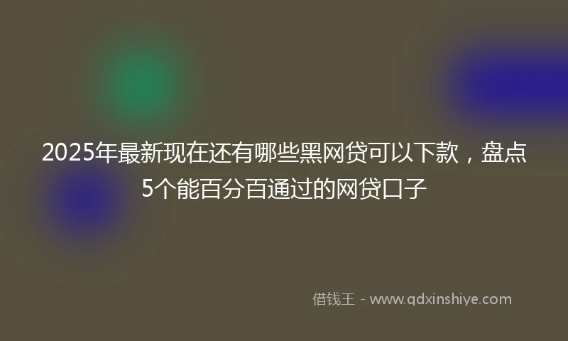 2025年最新现在还有哪些黑网贷可以下款，盘点5个能百分百通过的网贷口子