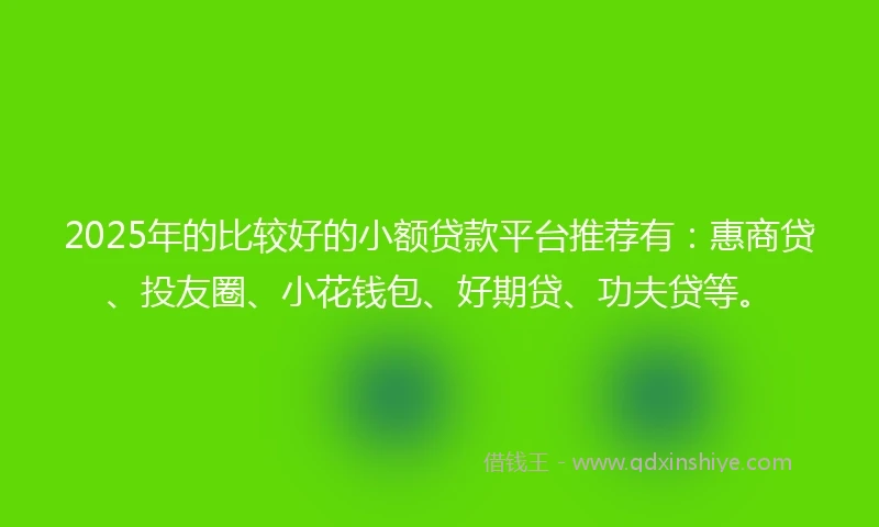 2025年的比较好的小额贷款平台推荐有：惠商贷、投友圈、小花钱包、好期贷、功夫贷等。
