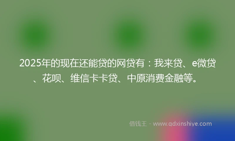 2025年的现在还能贷的网贷有：我来贷、e微贷、花呗、维信卡卡贷、中原消费金融等。
