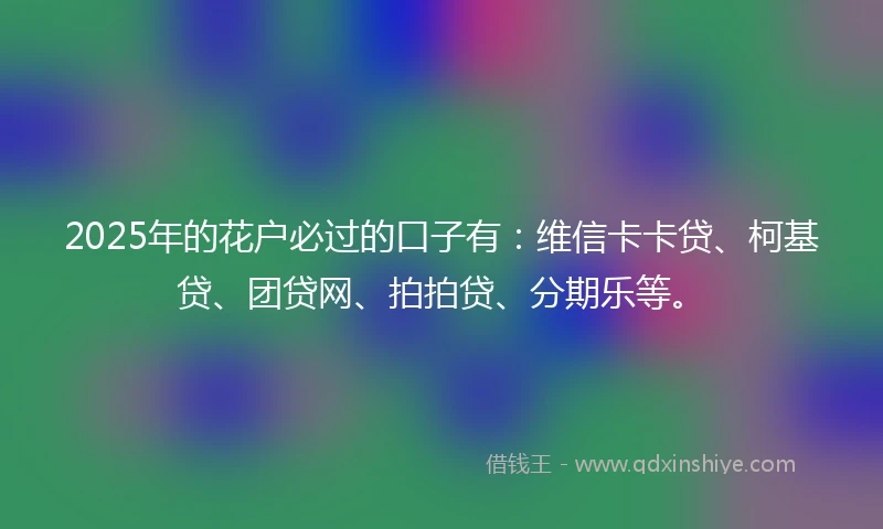 2025年的花户必过的口子有：维信卡卡贷、柯基贷、团贷网、拍拍贷、分期乐等。