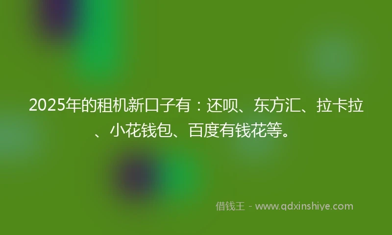 2025年的租机新口子有：还呗、东方汇、拉卡拉、小花钱包、百度有钱花等。