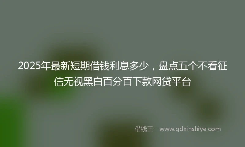 2025年最新短期借钱利息多少，盘点五个不看征信无视黑白百分百下款网贷平台