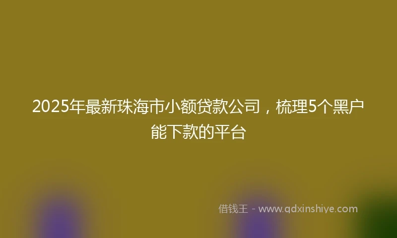 2025年最新珠海市小额贷款公司，梳理5个黑户能下款的平台