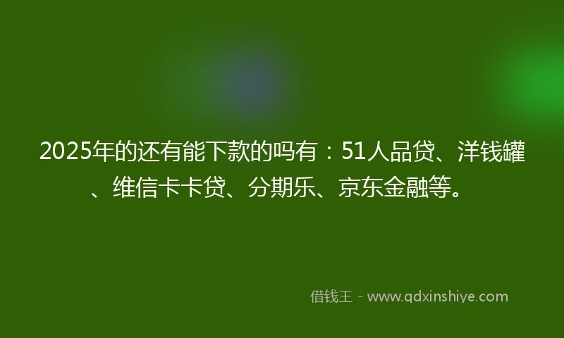 2025年的还有能下款的吗有：51人品贷、洋钱罐、维信卡卡贷、分期乐、京东金融等。