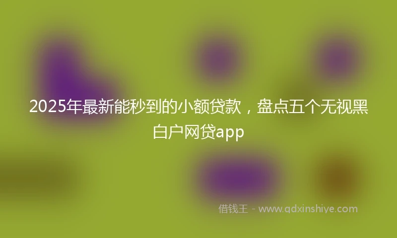 2025年最新能秒到的小额贷款，盘点五个无视黑白户网贷app