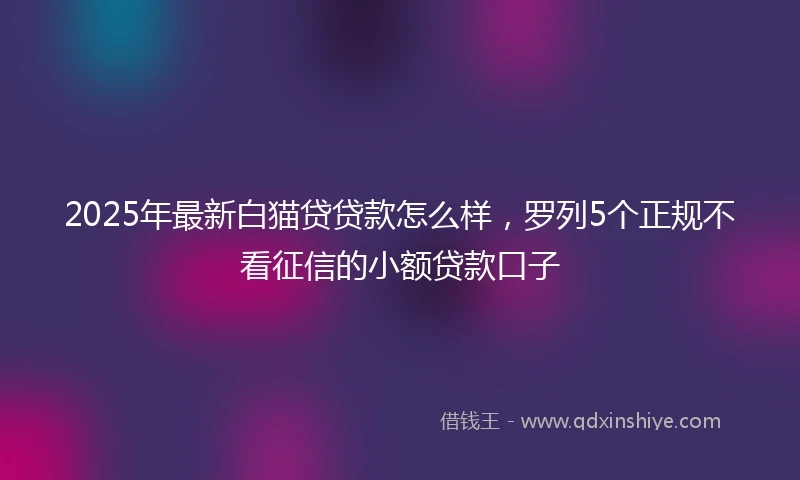 2025年最新白猫贷贷款怎么样，罗列5个正规不看征信的小额贷款口子